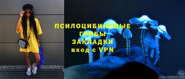 стаф Алзамай