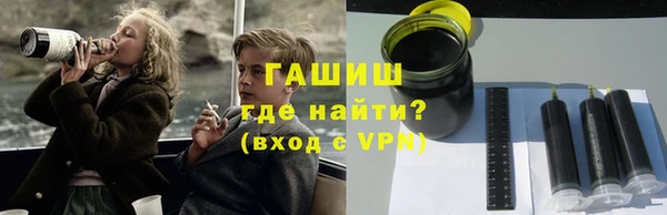 гашик Алексин