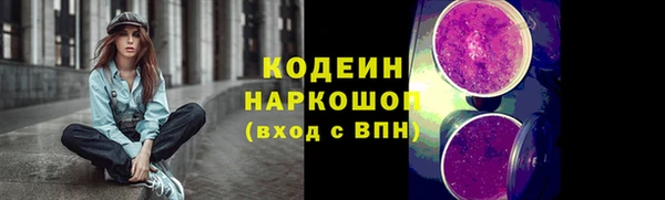 гашик Алексин