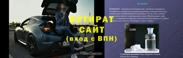 гашик Алексин