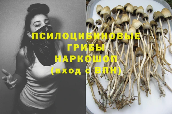 стаф Алзамай