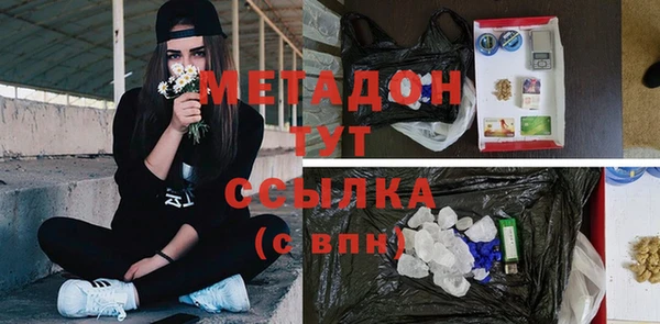 стаф Алзамай