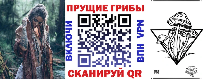 Галлюциногенные грибы GOLDEN TEACHER  kraken зеркало  Бабушкин 